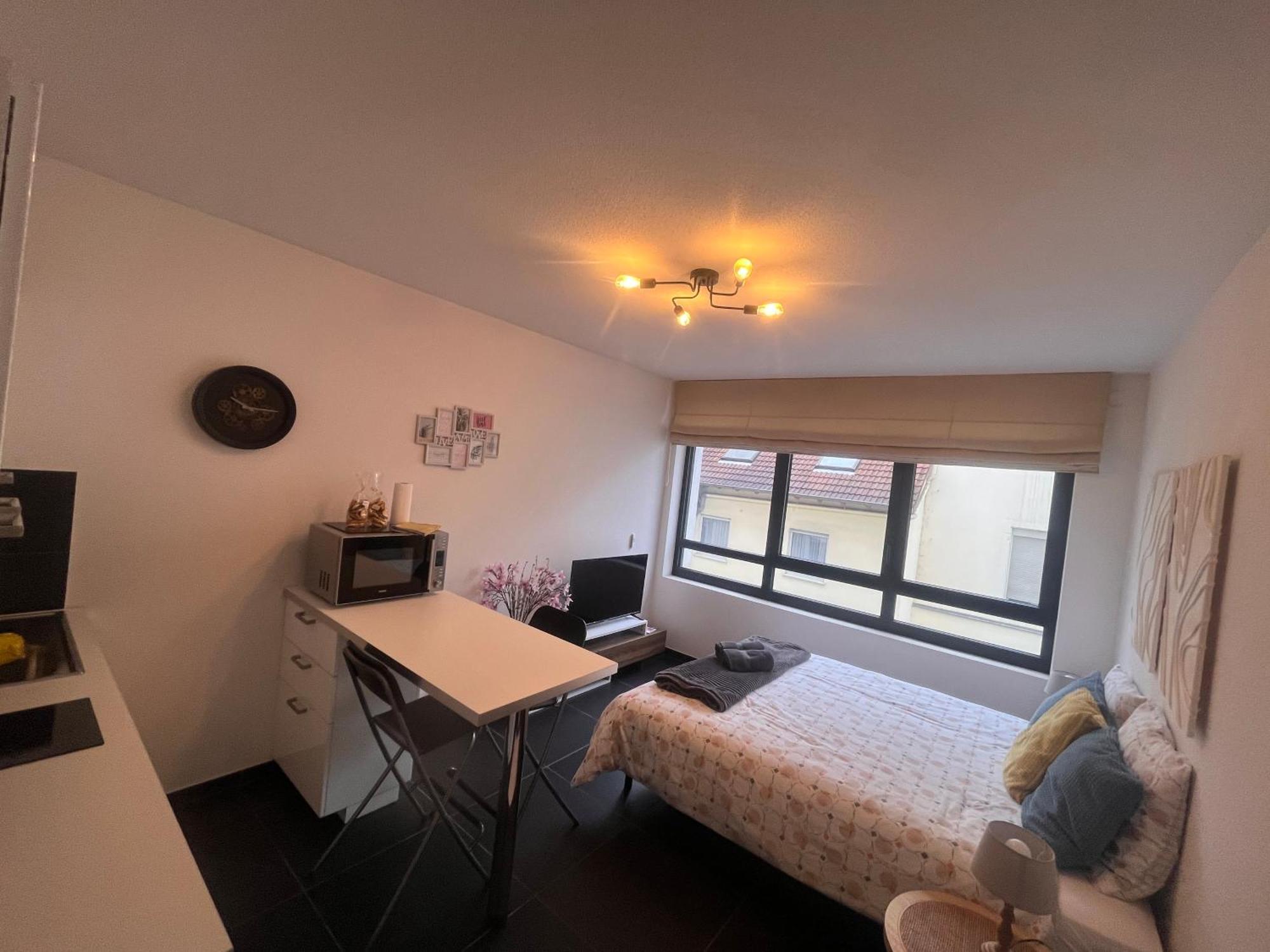 Appartement Nid Douillet De La Pie à Strasbourg Extérieur photo
